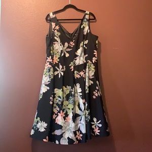 City Chic Fit n Flare dress